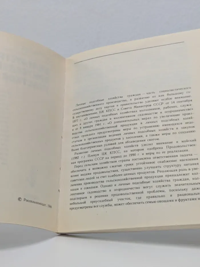 Благоустройство приусадебных участков