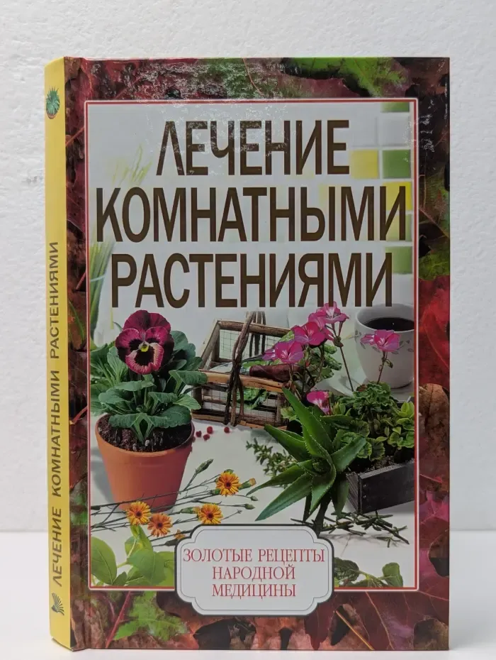 Золотые рецепты народной медицины. Лечение комнатными растениями