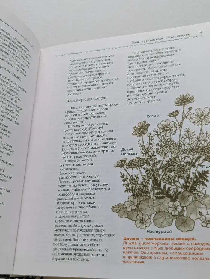 Верные друзья огородника. Огород, который заботится о себе сам