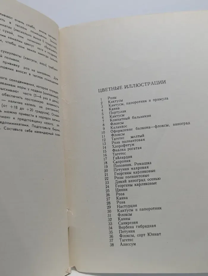 Цветы в твоем доме