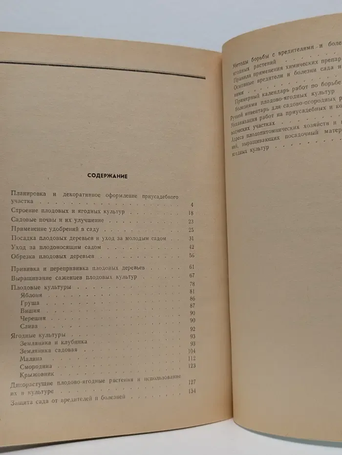 Приусадебный сад