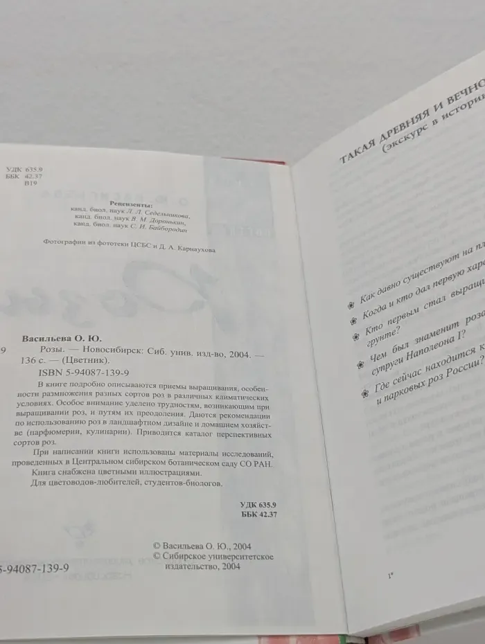 Цветник. Розы