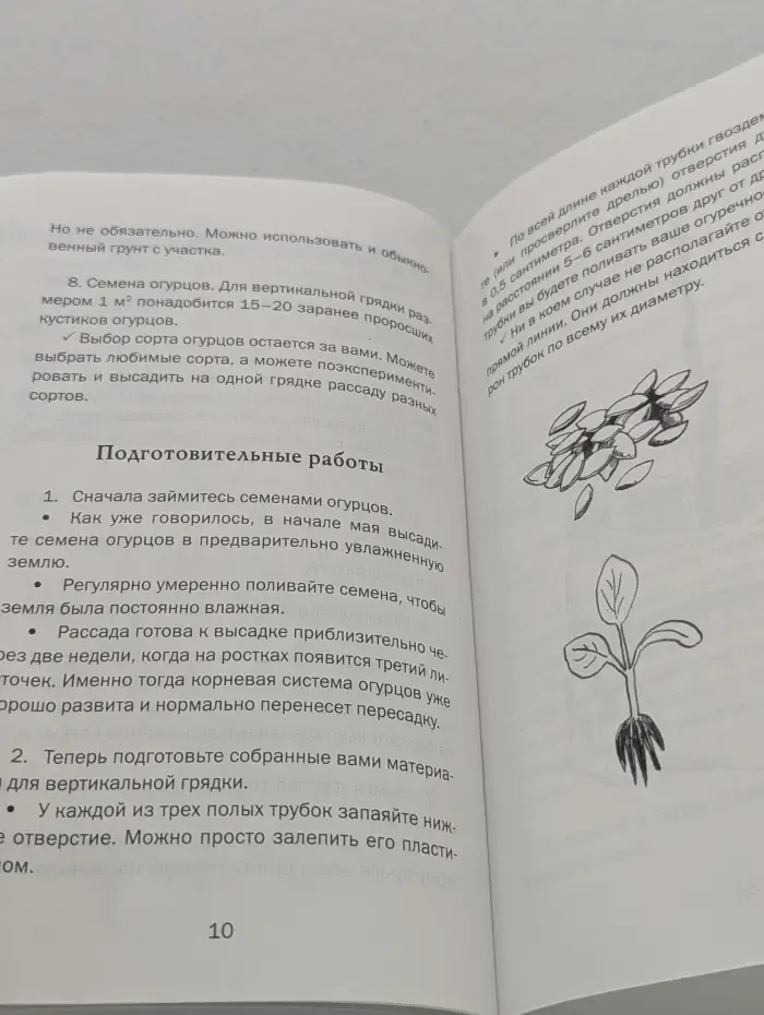 Как вырастить 1000 огурцов на 1 м2