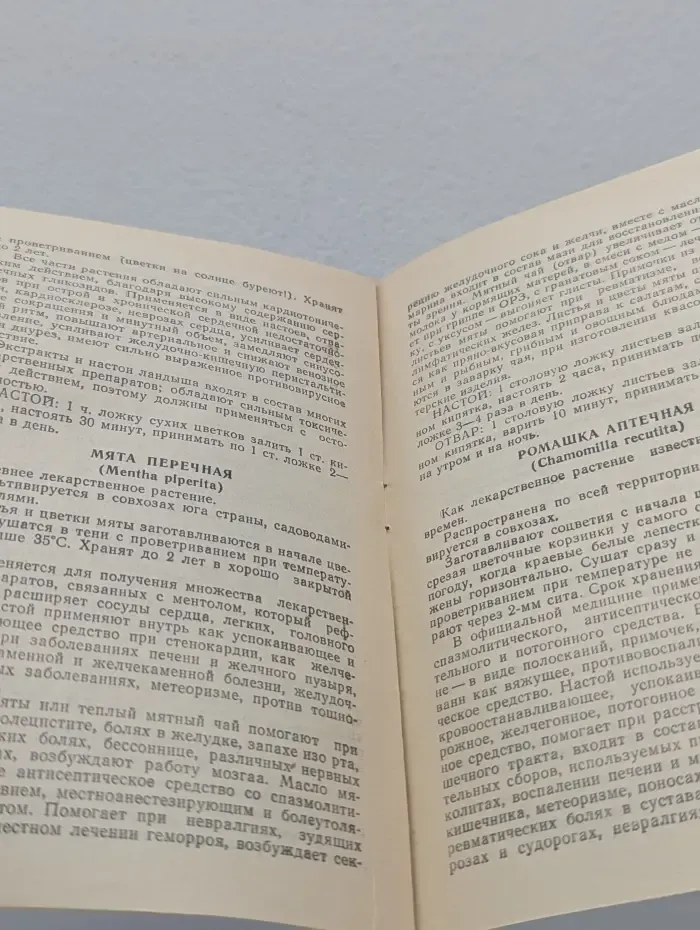 Ваше здоровье. Зеленые лекари