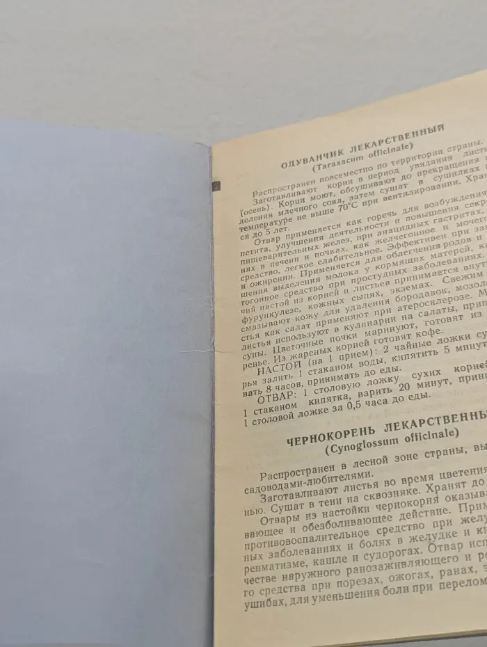 Ваше здоровье. Зеленые лекари