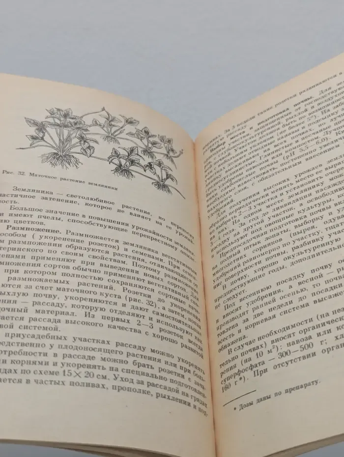 Приусадебное хозяйство. Уход за садом