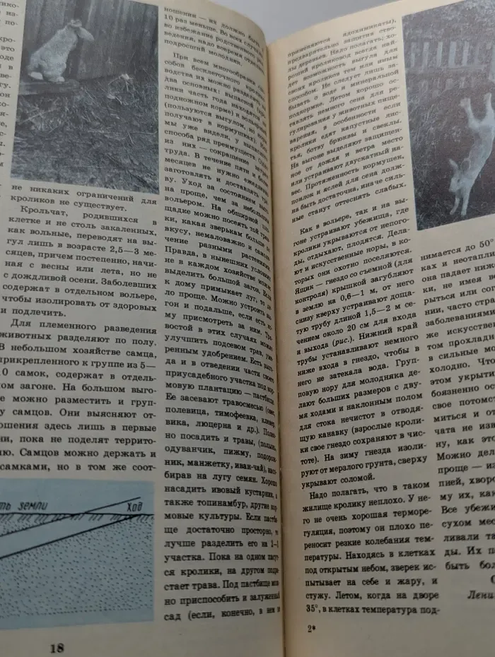 Приусадебное хозяйство. Выпуск № 2/1990