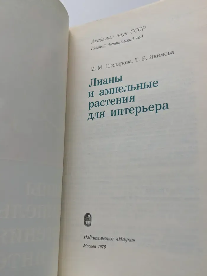 Лианы и ампельные растения для интерьера