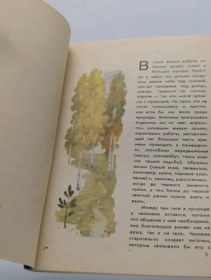 Москвичам о Подмосковье. По грибы. Заметки фенолога