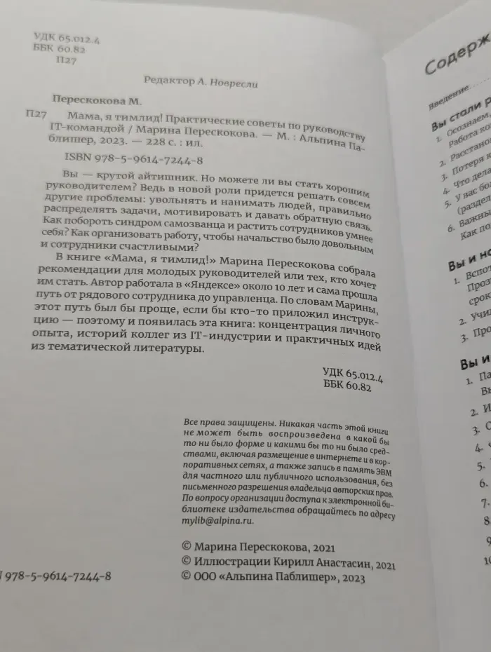 Мама, я тимлид! Практические советы по руководству IT-командой
