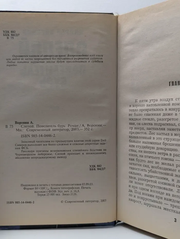 Слепой. Повелитель бурь