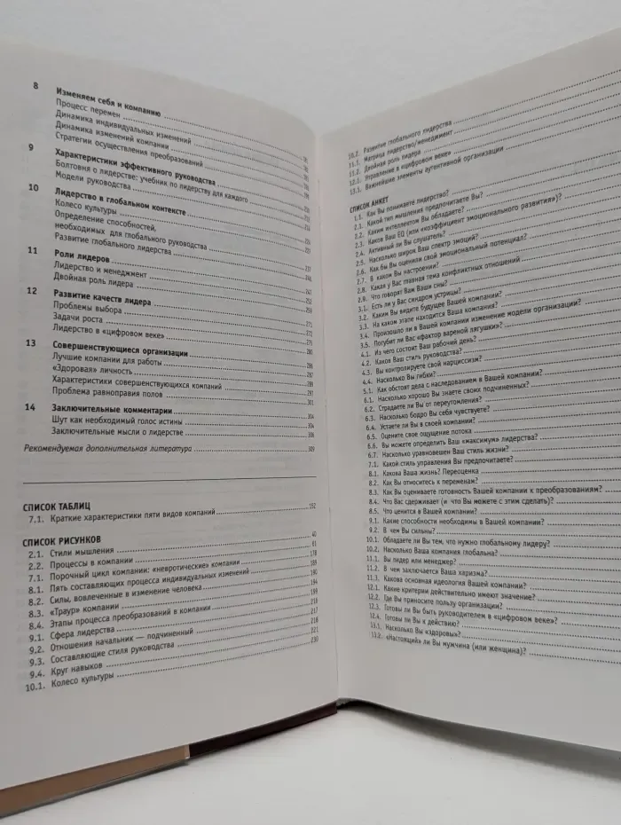 Мистика лидерства. Развитие эмоционального интеллекта