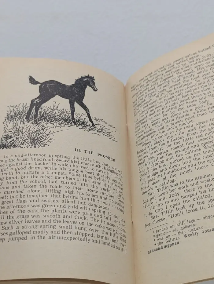 Книга для чтения на английском языке. The Red Pony. Рыжий пони