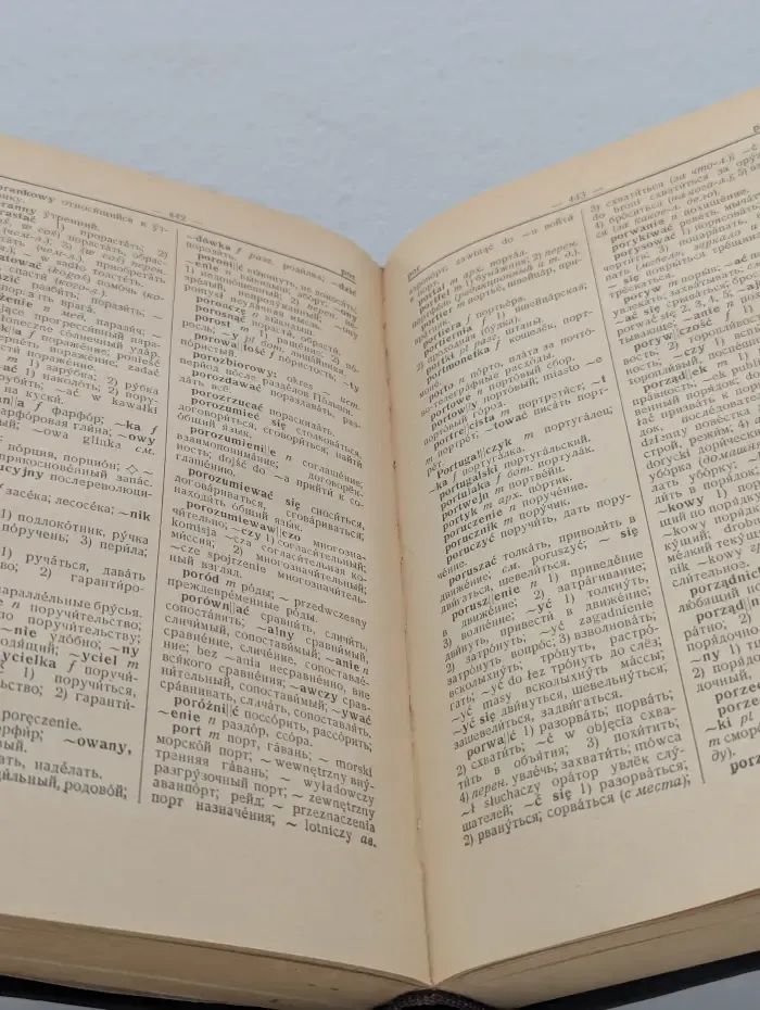Польско-русский словарь