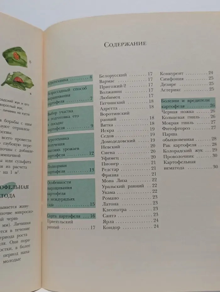 Золотые рецепты огорода. Картофель