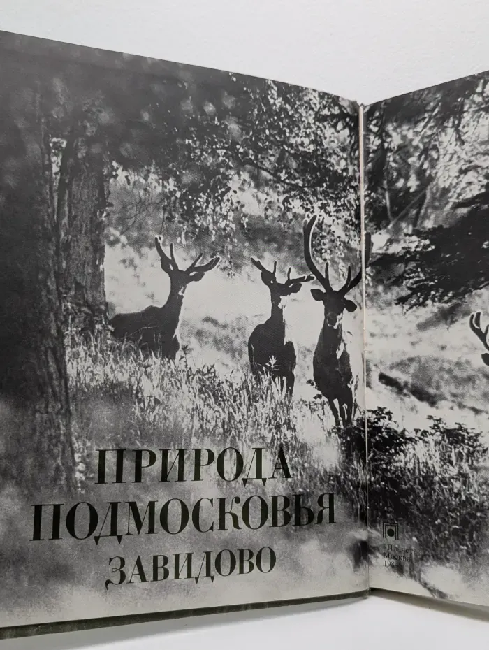 Природа Подмосковья Завидово