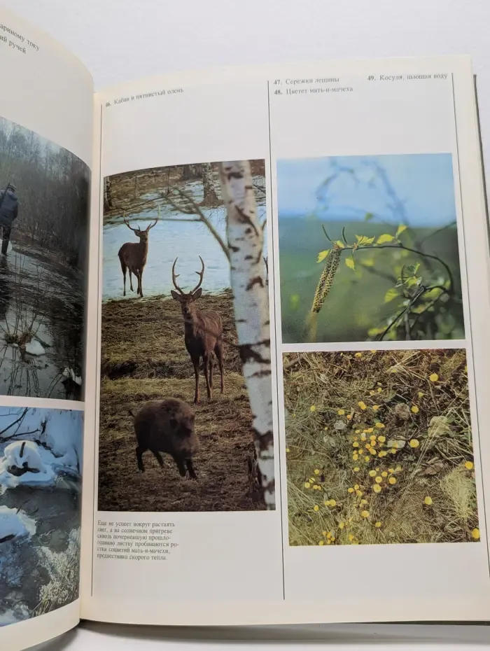 Природа Подмосковья Завидово