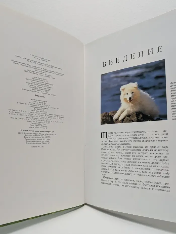 Щенята. Мир животных