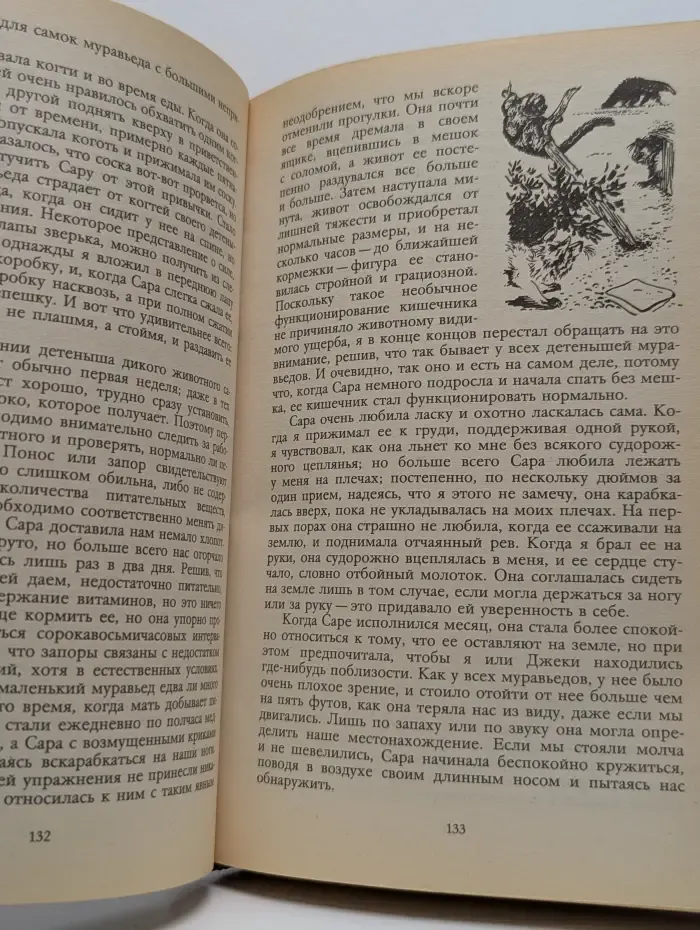 Под пологом пьяного леса