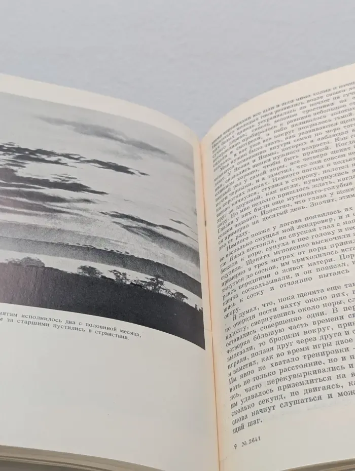 Не кричи Волки! Невинные убийцы. Человек находит друга