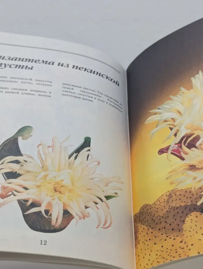 Украшение блюд. Украшаем блюда для гостей