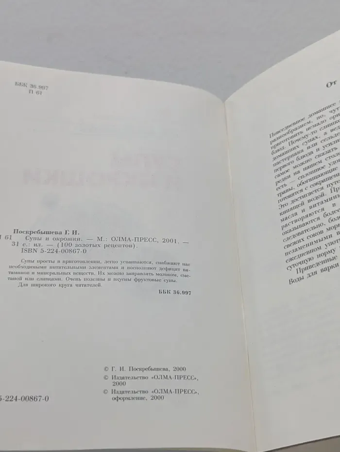 100 золотых рецептов. Супы и окрошки