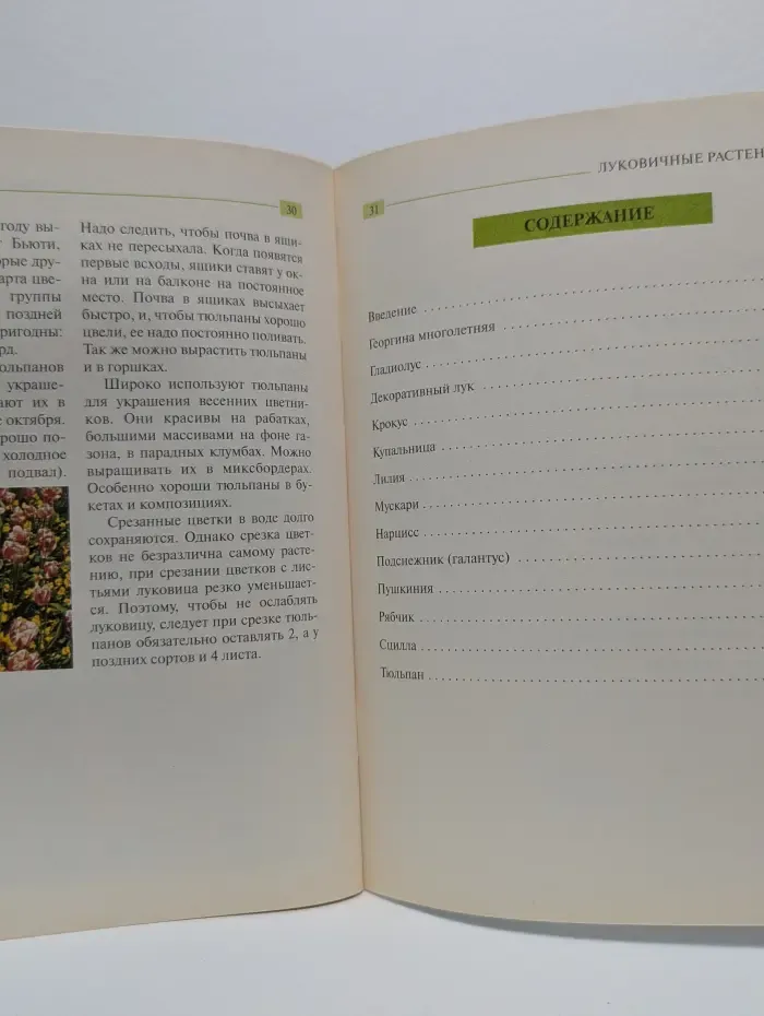 Золотые рецепты сада. Луковичные растения в саду