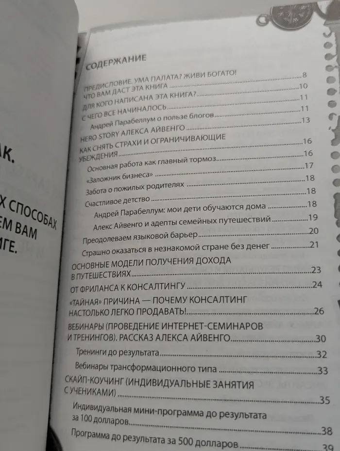 Путешествуй и богатей. Как заработать миллион всего за 2 часа в неделю