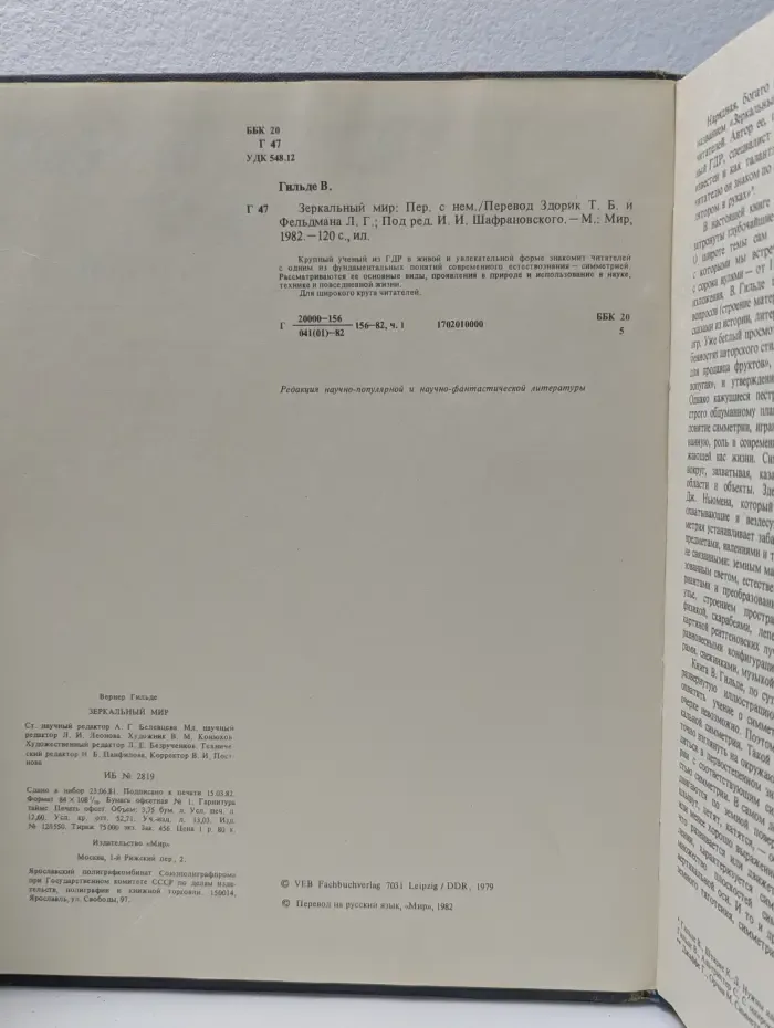 Зеркальный мир