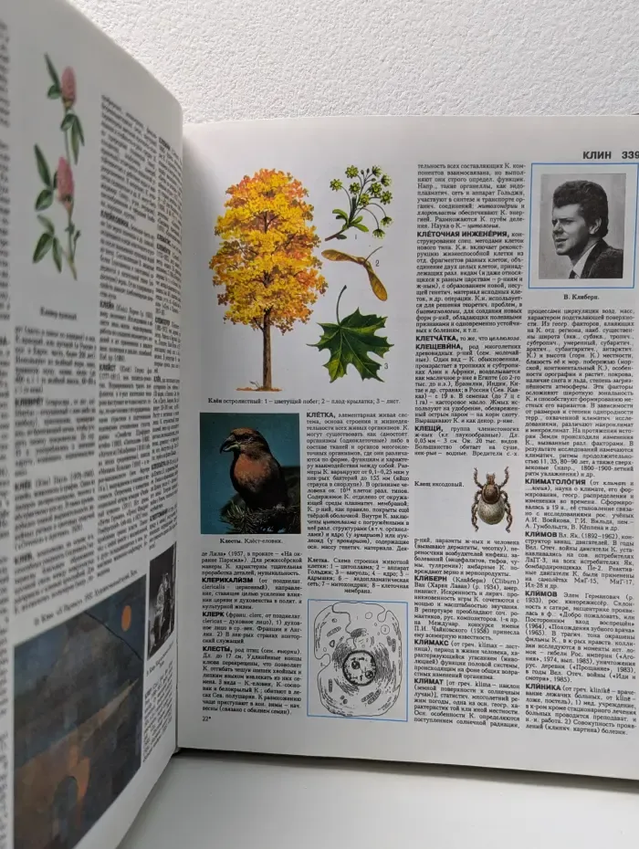 Новый иллюстрированный энциклопедический словарь