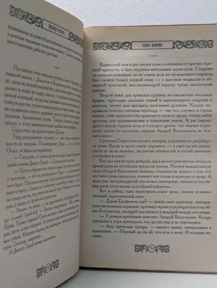 Дикое поле. Люди меча. Слово шамана