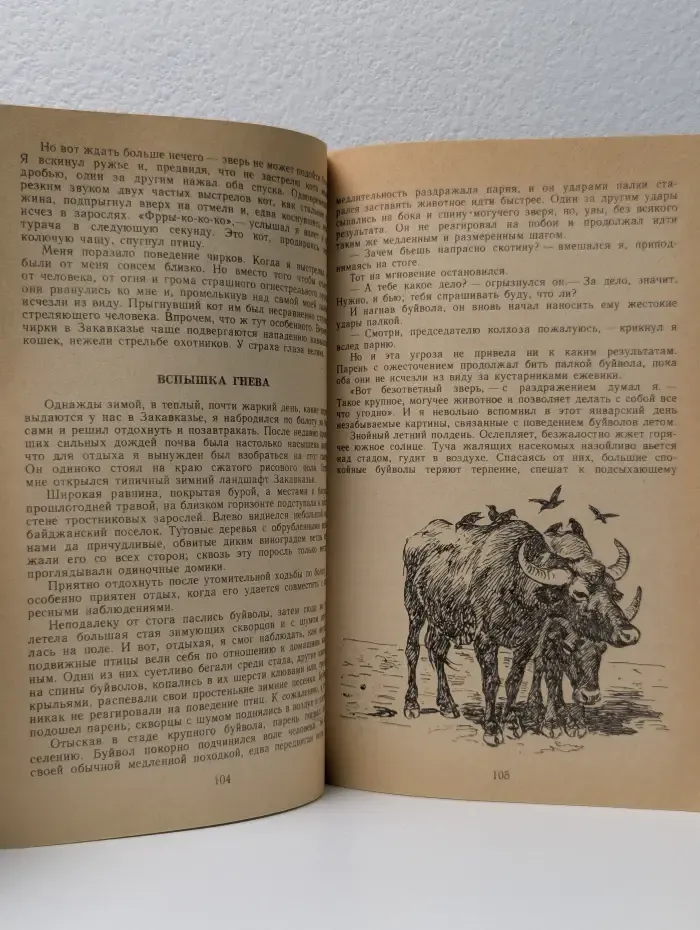 Встречи с животными