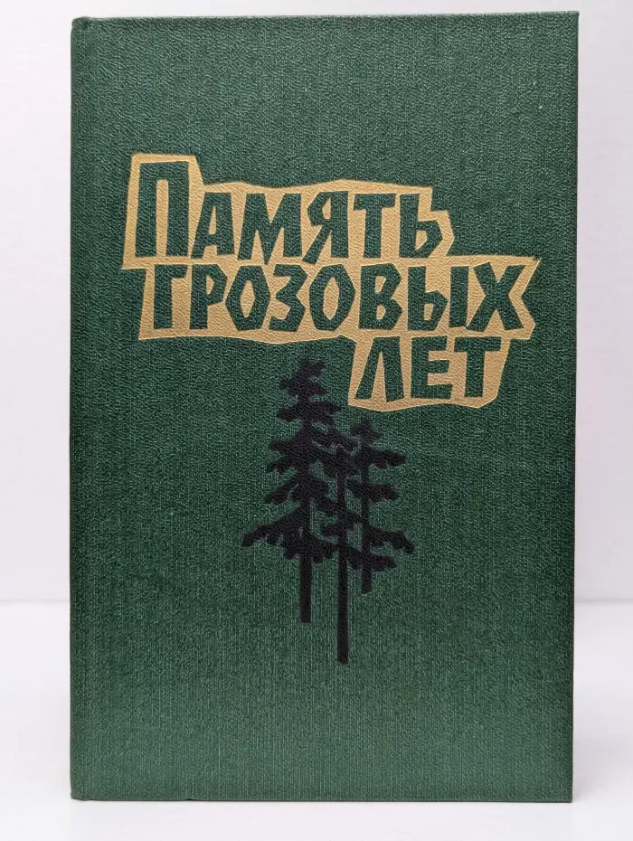 Память грозовых лет