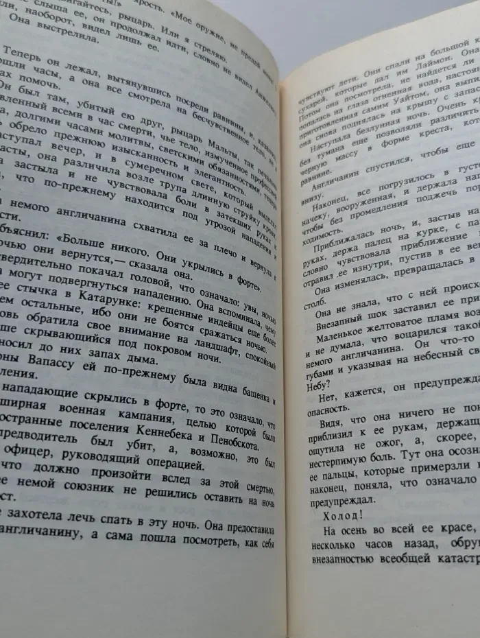 Анжелика. Книга 11. Триумф Анжелики
