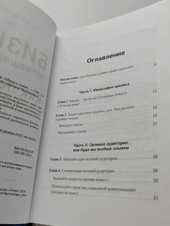 Деловой бестселлер. Бизнес, попавший в шторм. Как победить кризис
