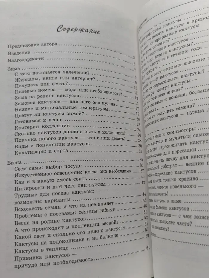 Круглый год среди кактусов. Советы по уходу за коллекцией