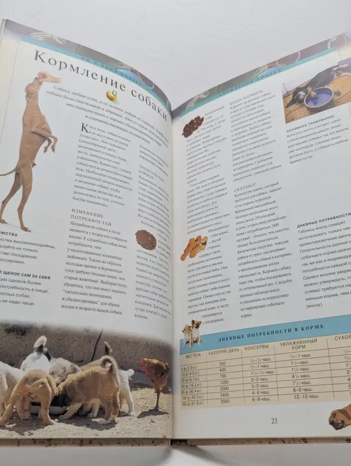 Энциклопедия домашних животных. Собаки