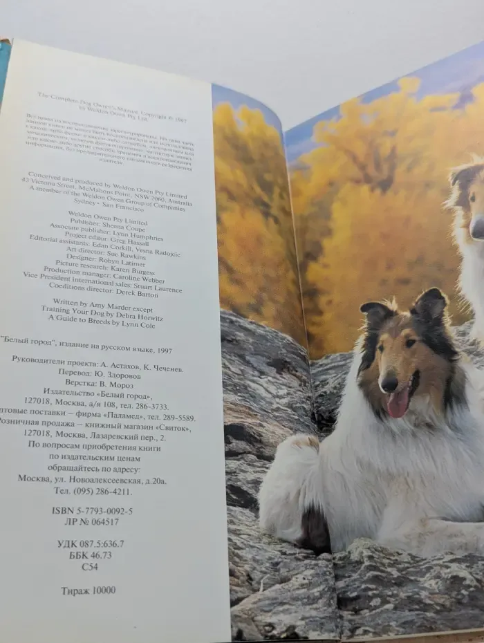 Энциклопедия домашних животных. Собаки