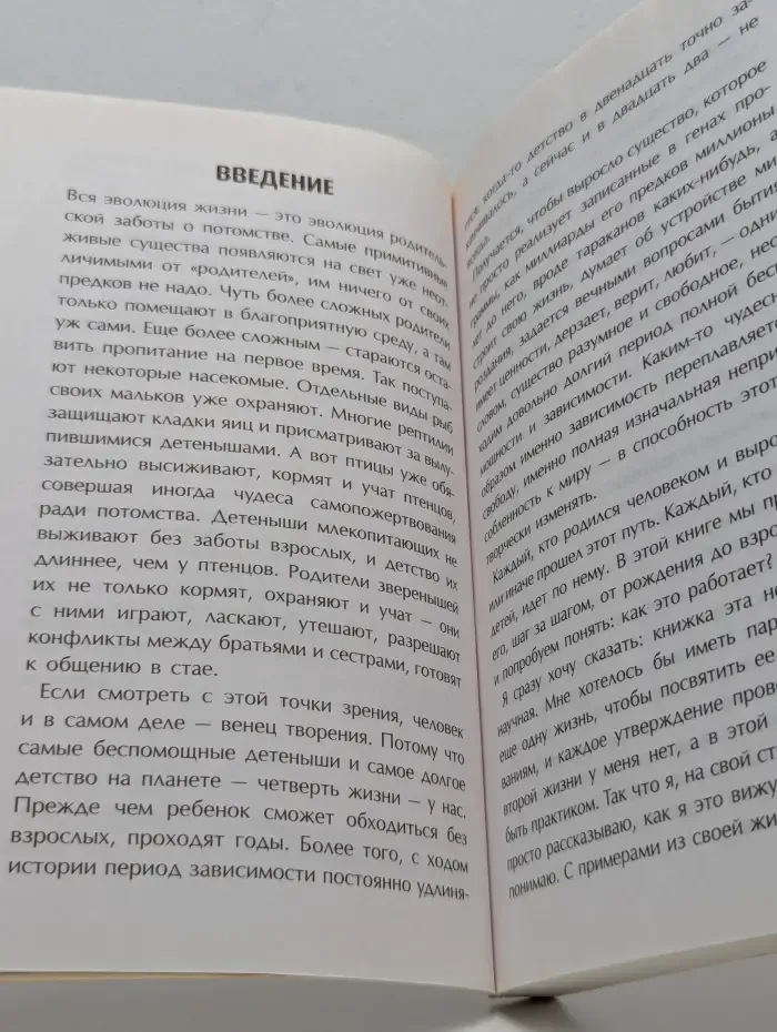 Тайная опора. Привязанность в жизни ребенка
