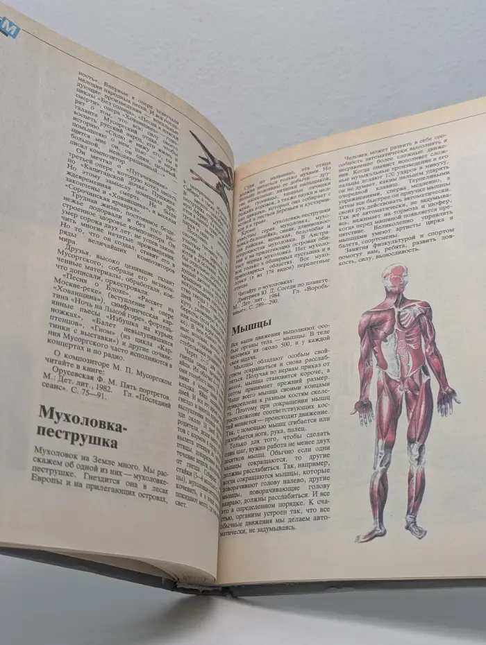 Что такое. Кто такой. Том 2. От И до П