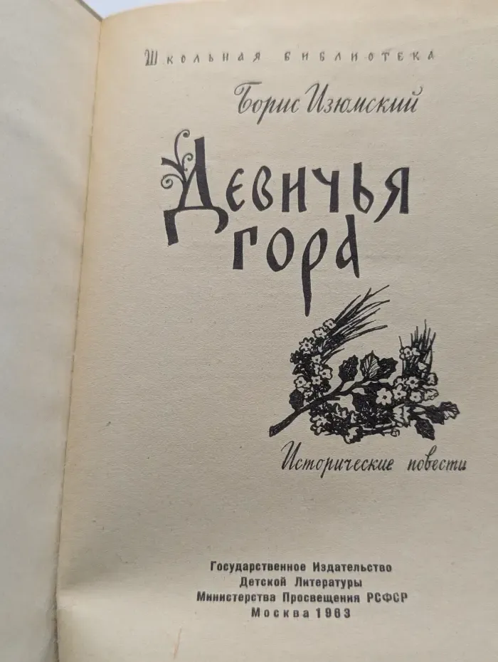 Школьная библиотека. Девичья гора