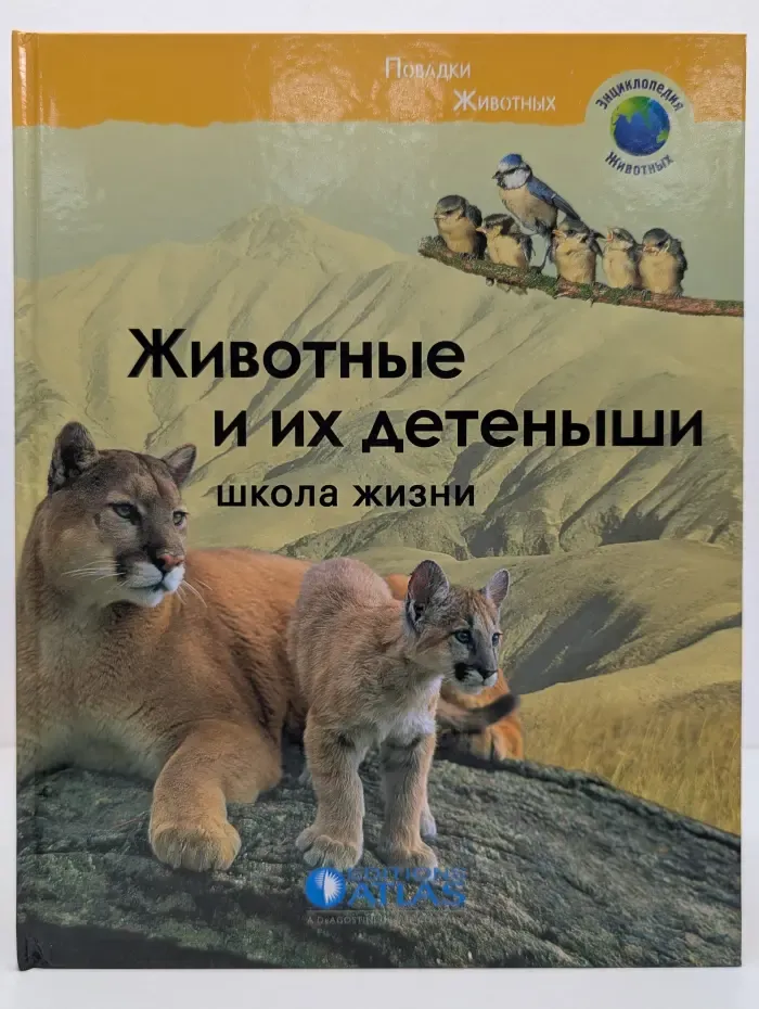 Энциклопедия животных. Животные и их детеныши. Школа жизни
