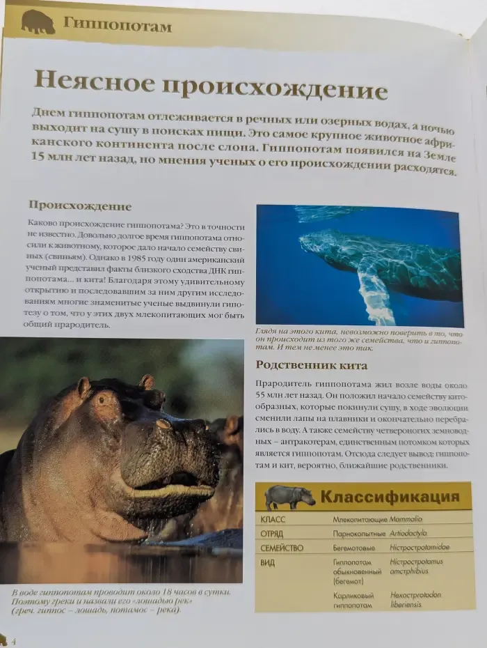 Энциклопедия животных. Гиппопотам: пресноводный гигант