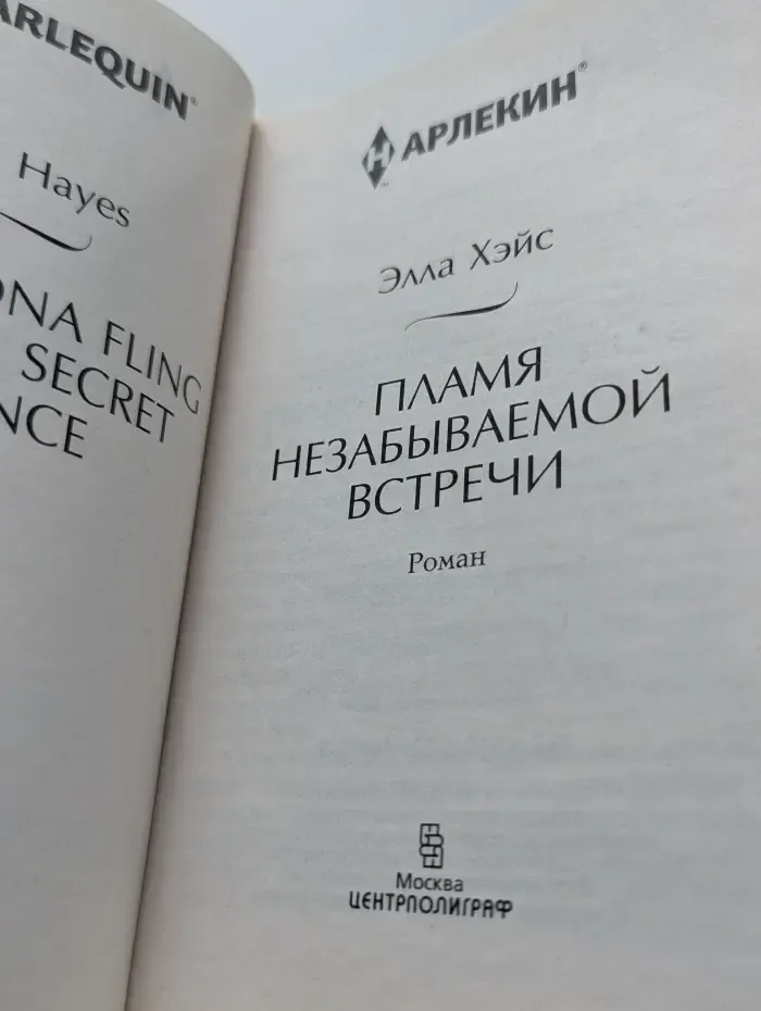 Любовный роман. Пламя незабываемой встречи