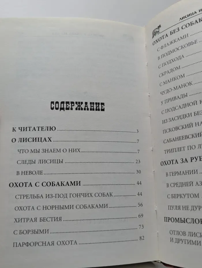 Лисица и охота на нее