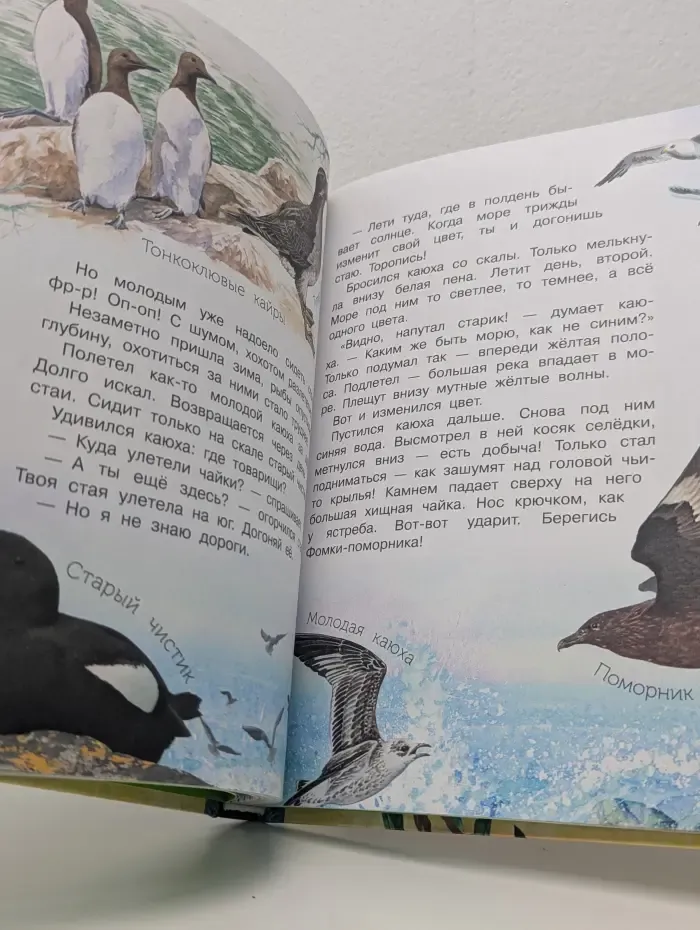 Лучшие сказки и рассказы о животных. Рассказы и сказки о животных