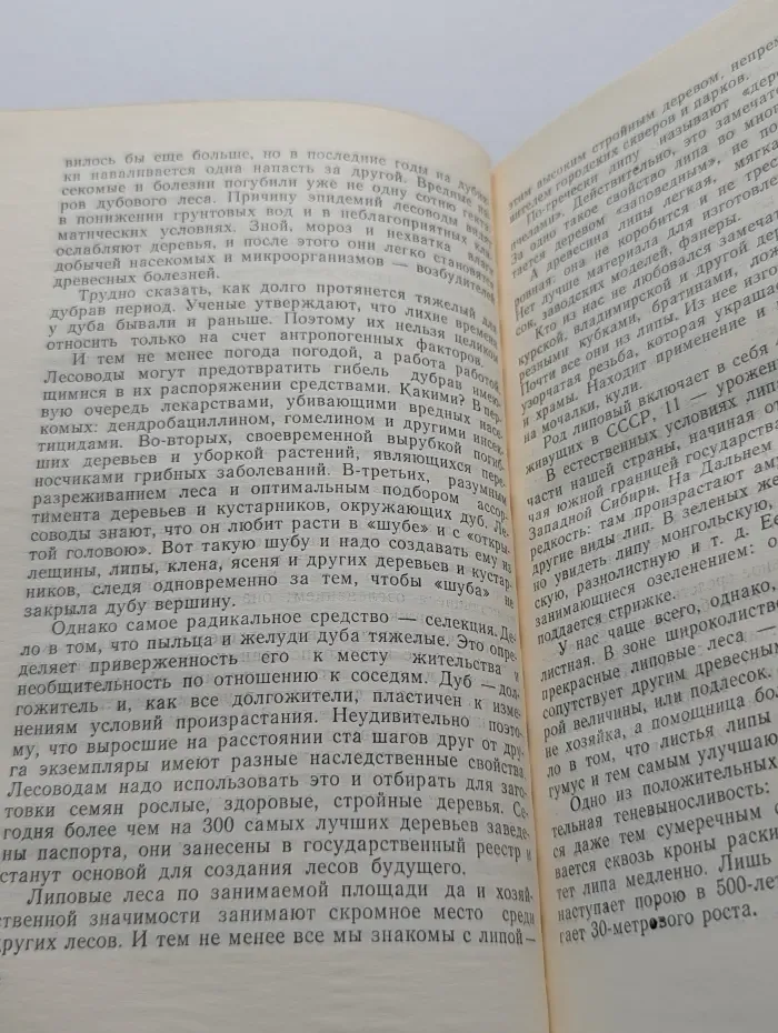 Эврика. Беседы о лесе