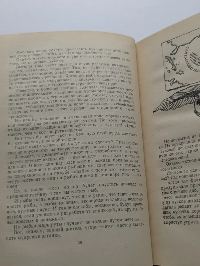 Чудо-компасы