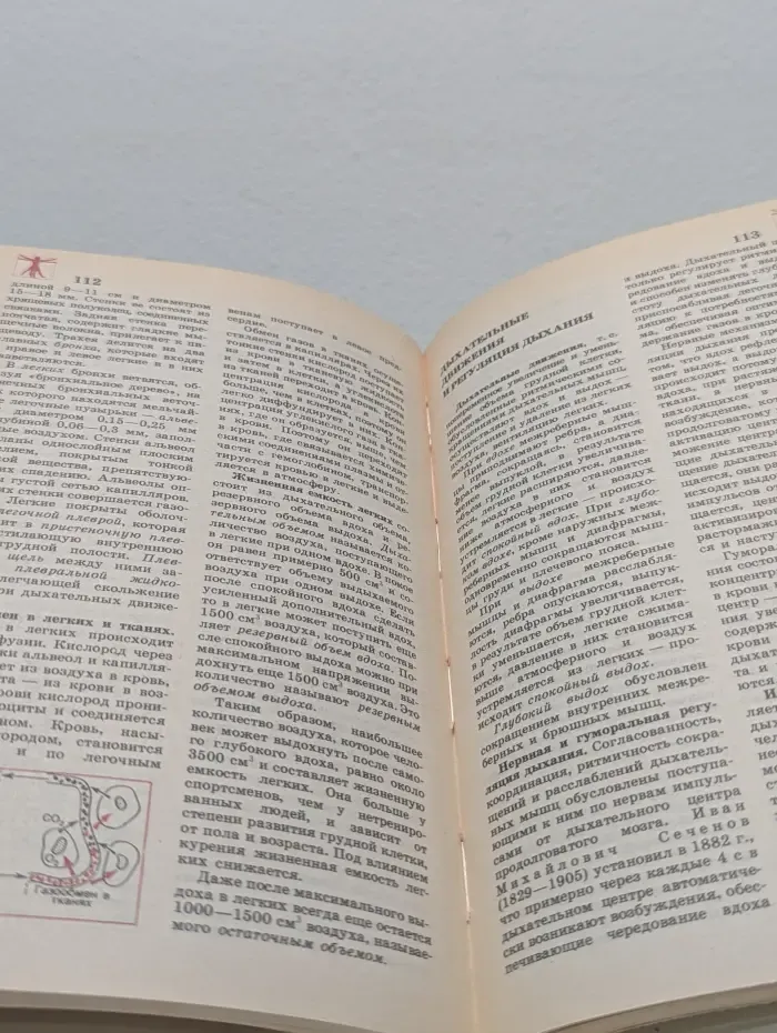 Биология. Справочные материалы