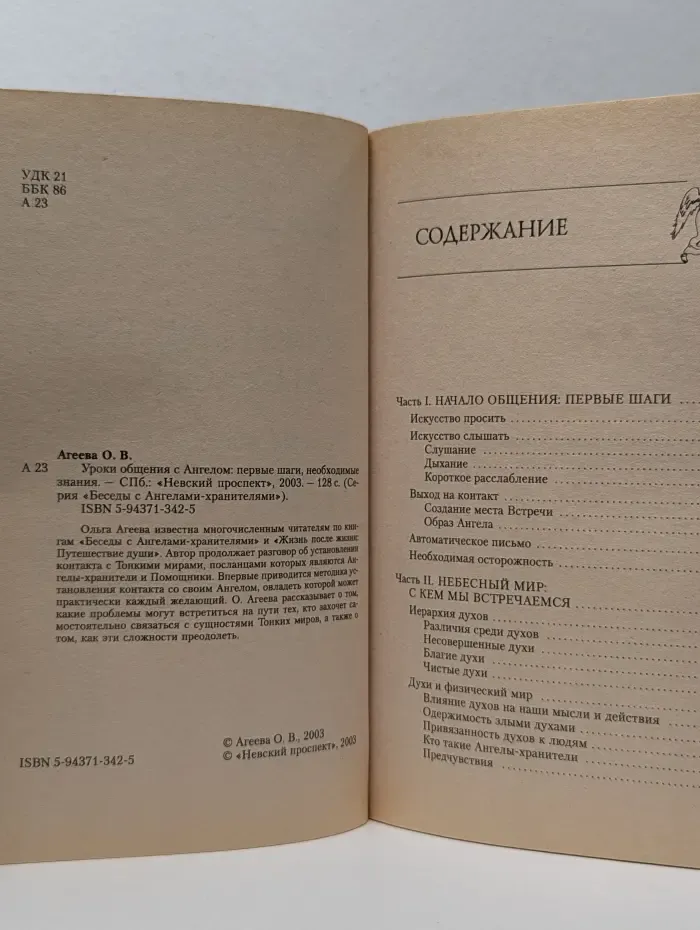 Беседы с Ангелами-Хранителями. Уроки общения с Ангелом. Первые шаги, необходимые знания